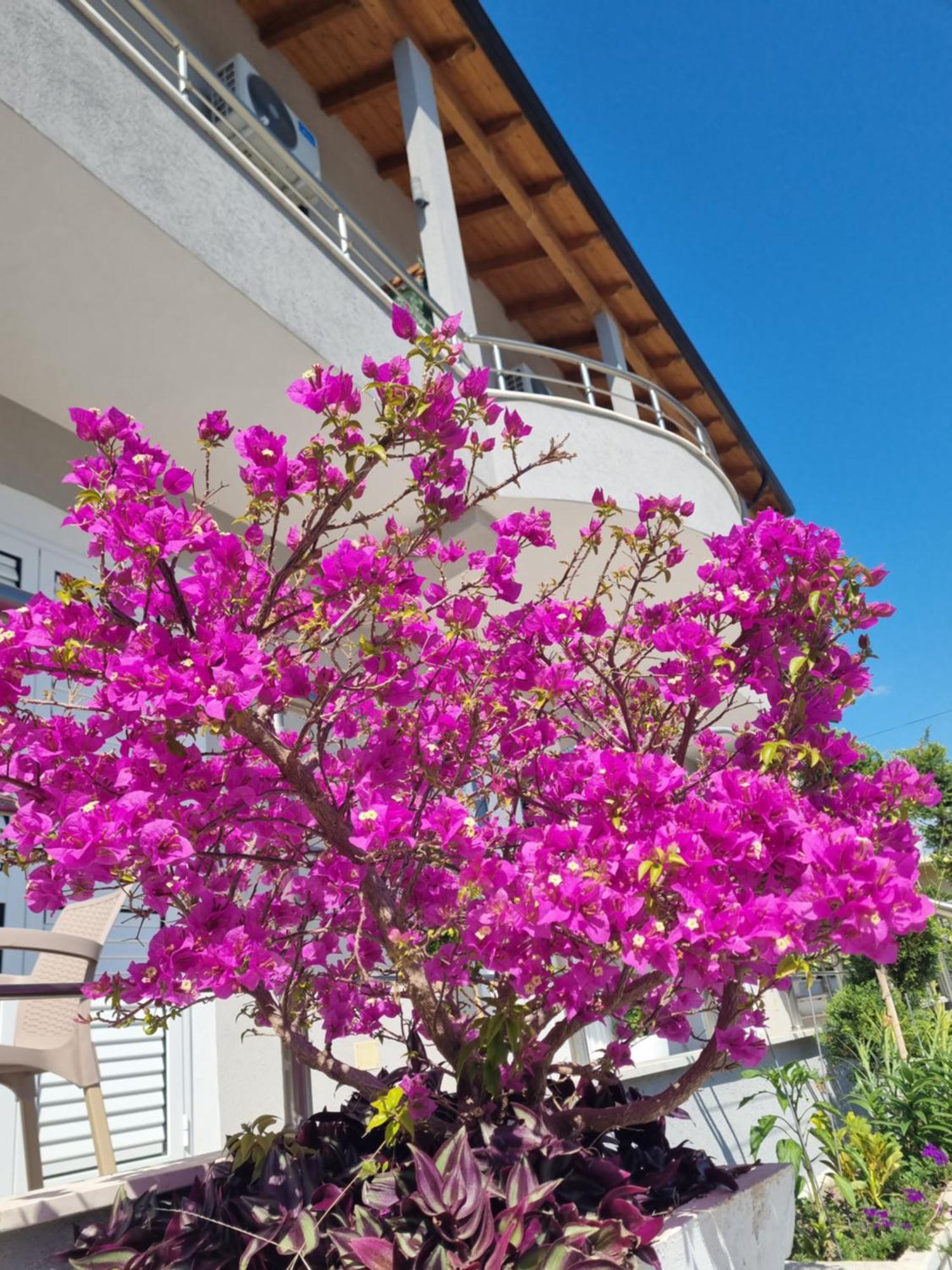 Vila Soleil Vlora Kültér fotó